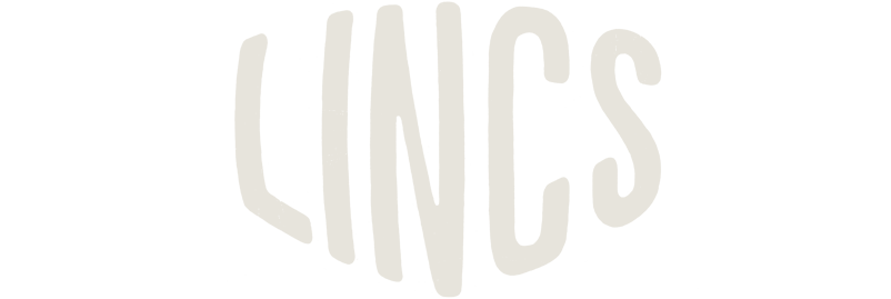 lincs branding logo design north wales